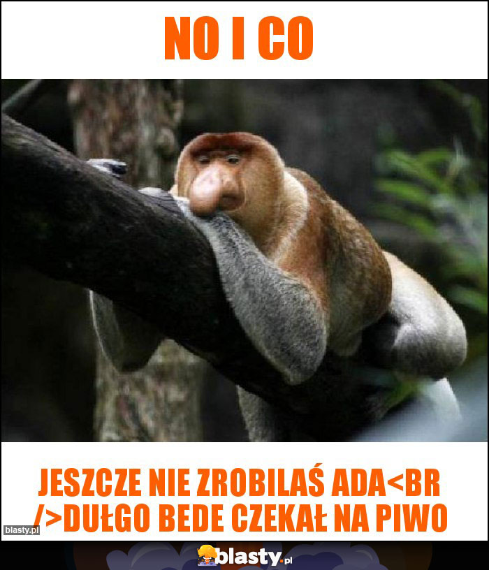 No i co