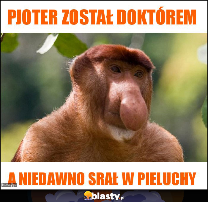 Pjoter został doktórem