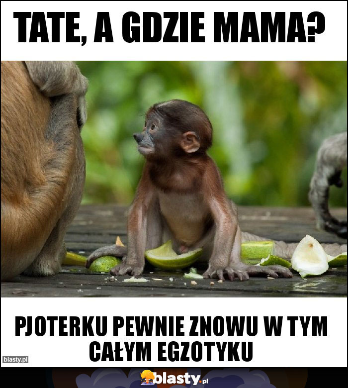 Tate, a gdzie mama?
