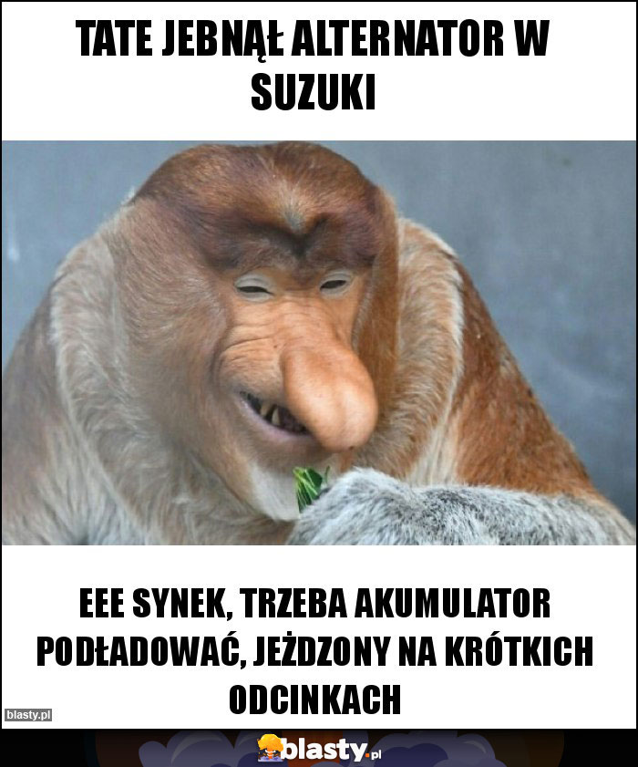 Tate jebnął alternator w Suzuki