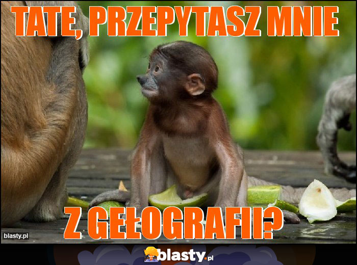 TATE, PRZEPYTASZ MNIE