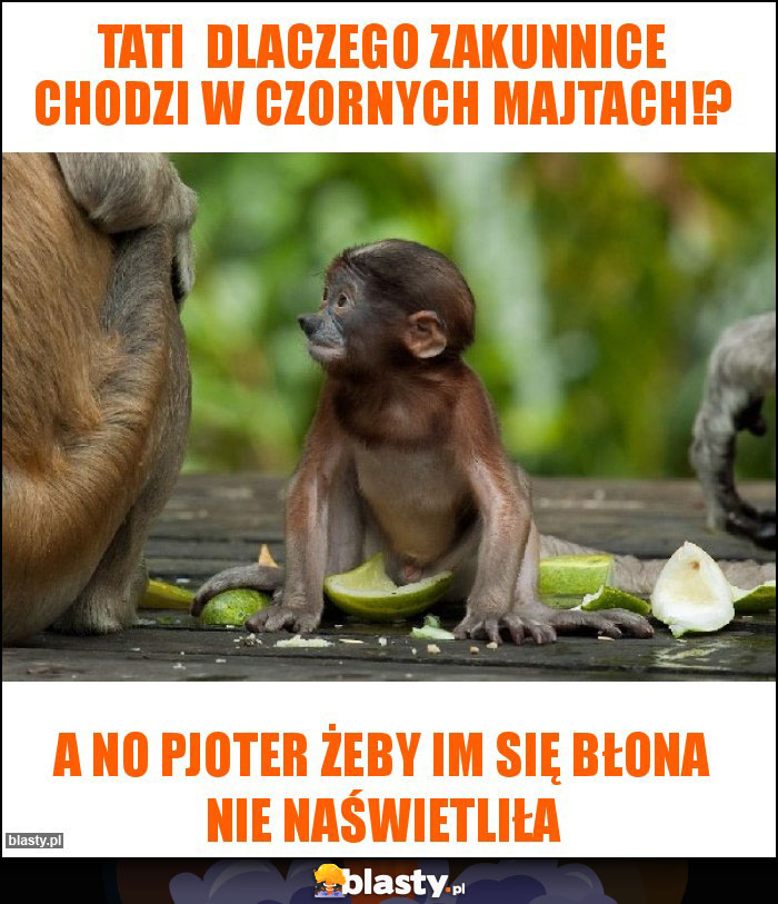 Tati  dlaczego zakunnice chodzi w czornych majtach!?