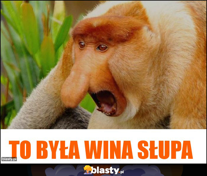to była wina słupa