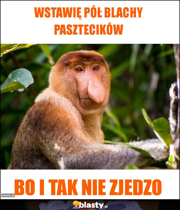 Wstawię pół blachy pasztecików