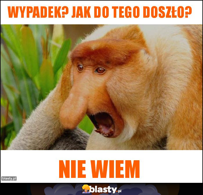 WYpadek? jak do tego doszło?