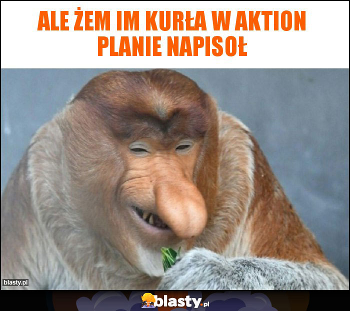 Ale żem im kurła w aktion planie napisoł