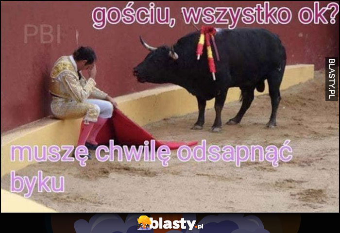 Byk toreador gościu wszystko ok? Muszę chwilę odsapnąć byku