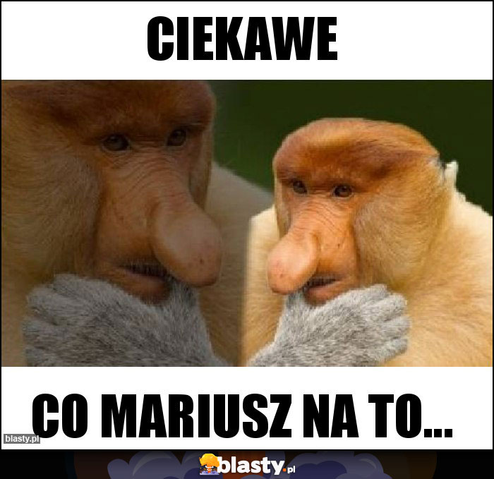 Ciekawe