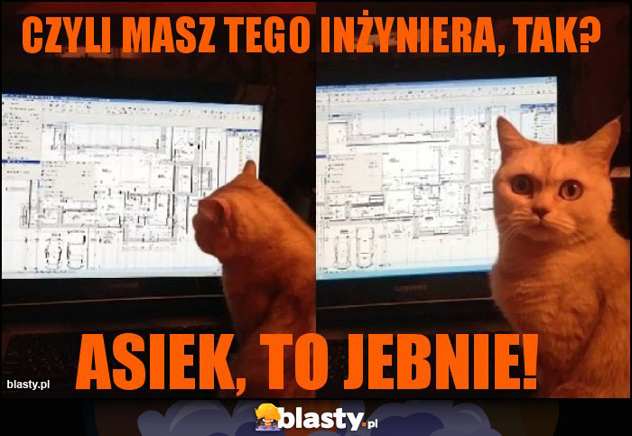 Czyli masz tego inżyniera, tak?