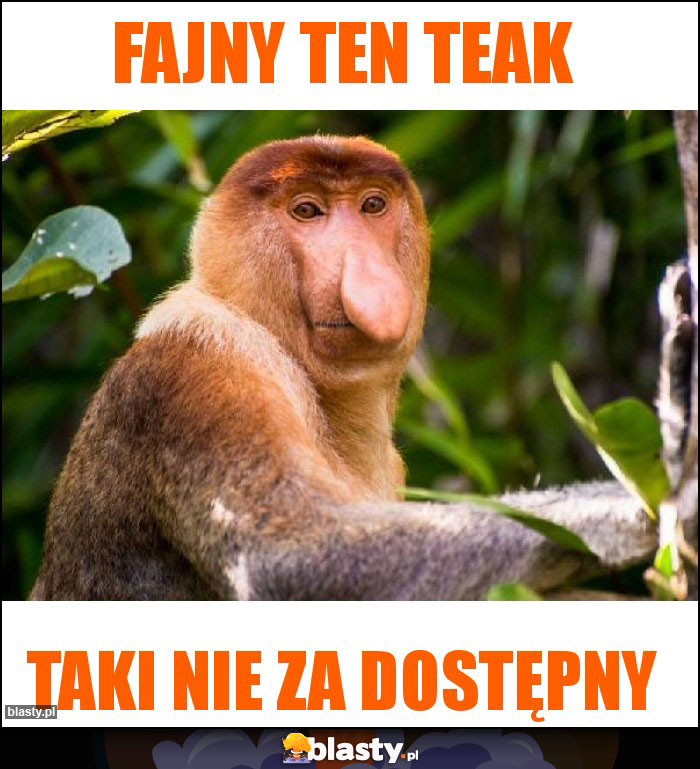 Fajny ten TEAK