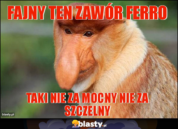 Fajny ten zawór ferro
