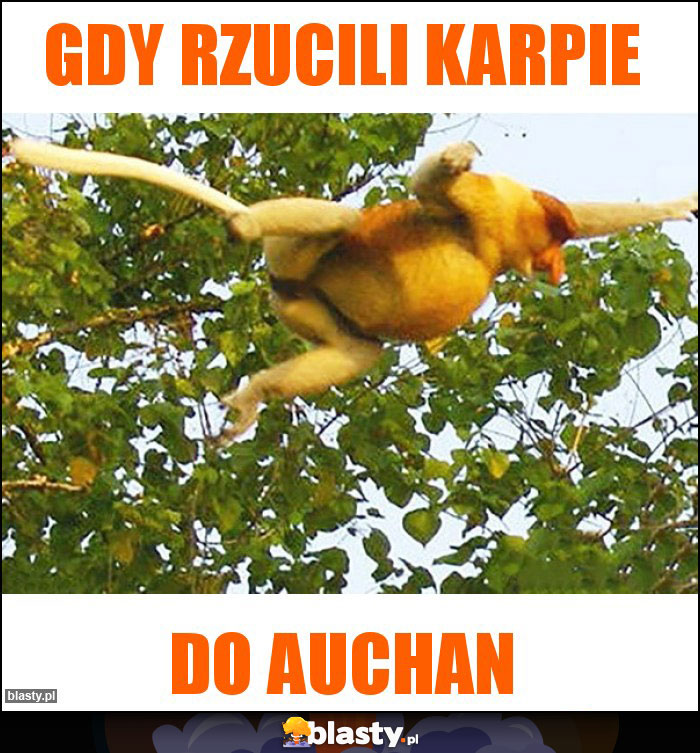 Gdy rzucili karpie