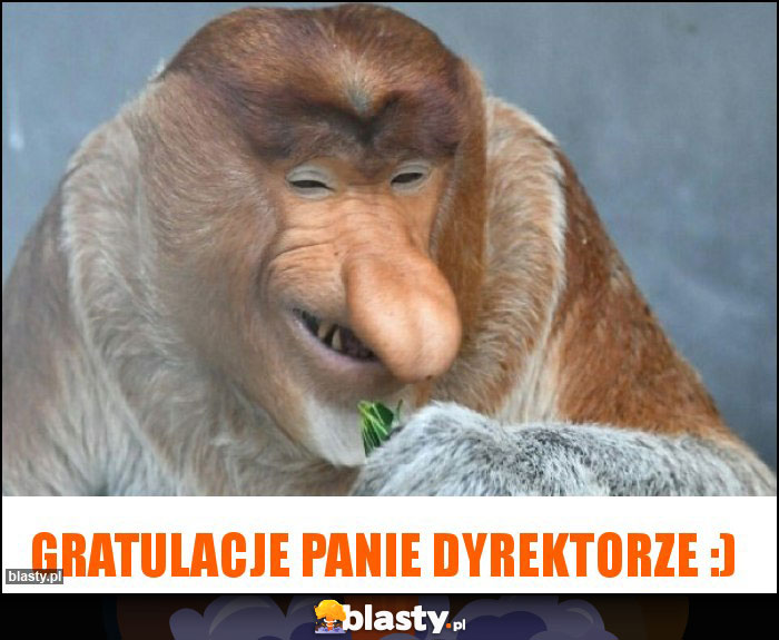 GRATULACJE PANIE DYREKTORZE :)