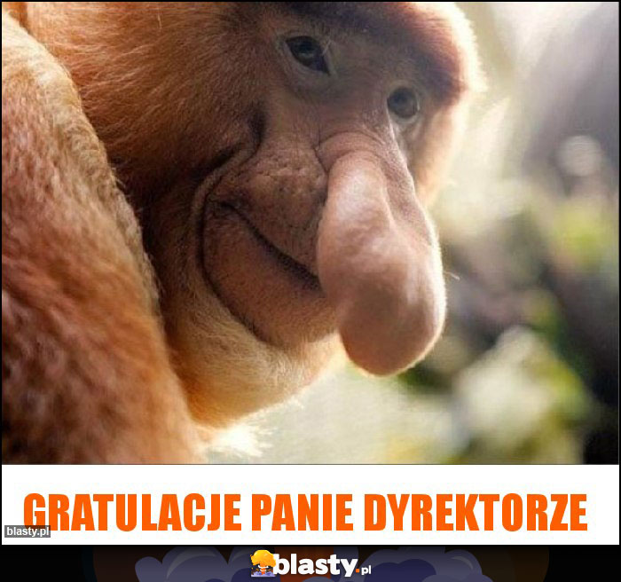 GRATULACJE PANIE DYREKTORZE