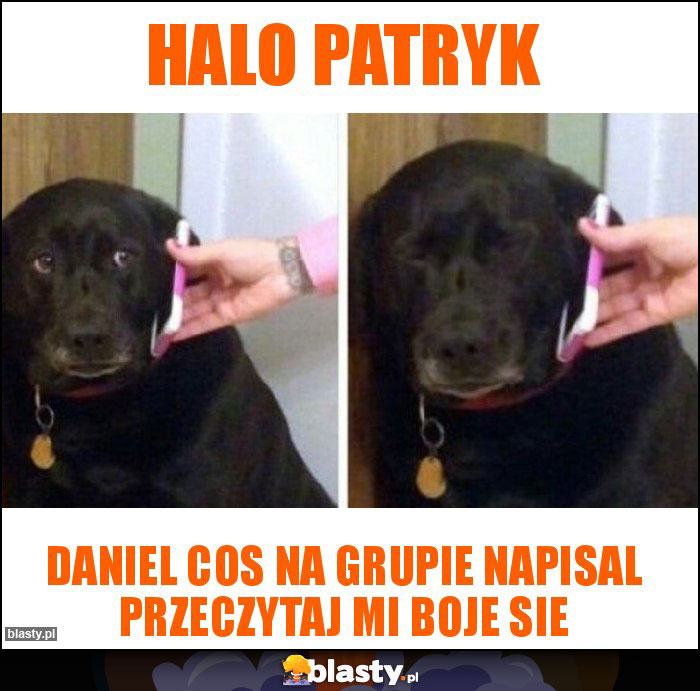Halo Patryk