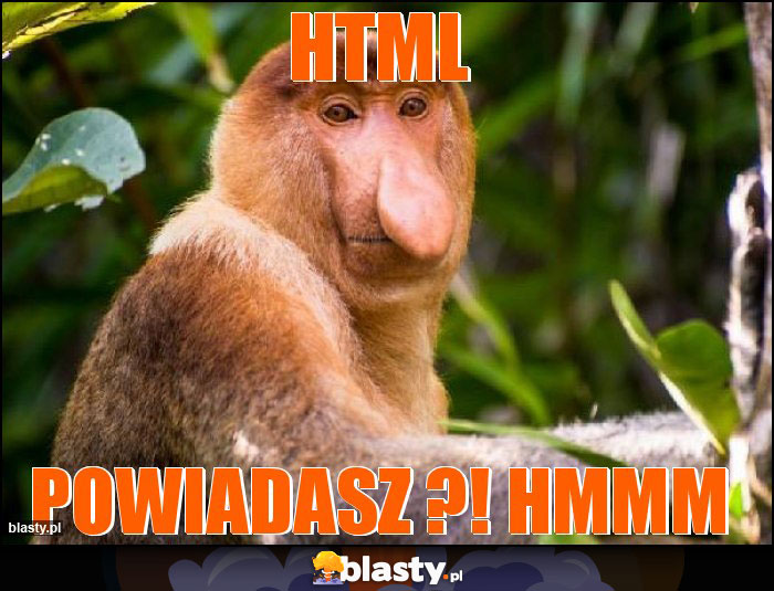 HTML