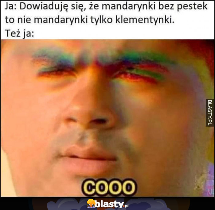 Ja: dowiaduję się, że mandarynki bez pestek to nie mandarynki tylko klementynki, też ja: cooo