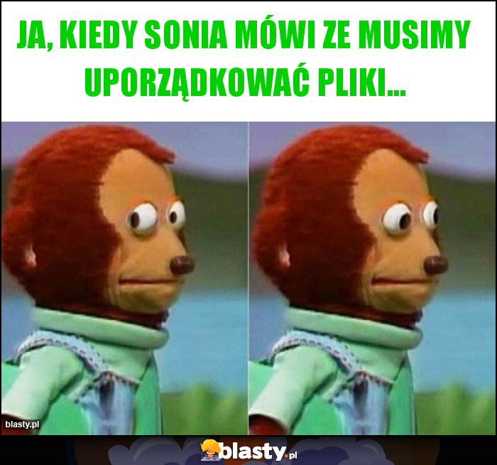 Ja, kiedy Sonia mówi ze musimy uporządkować pliki...