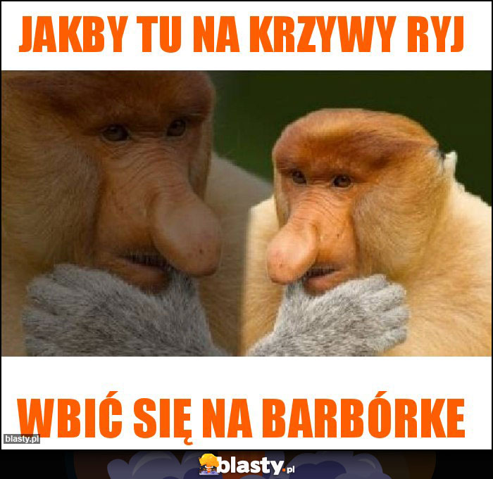 Jakby tu na krzywy ryj