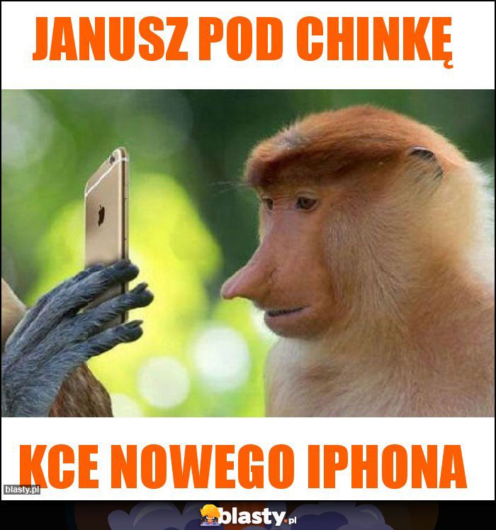 Janusz pod Chinkę