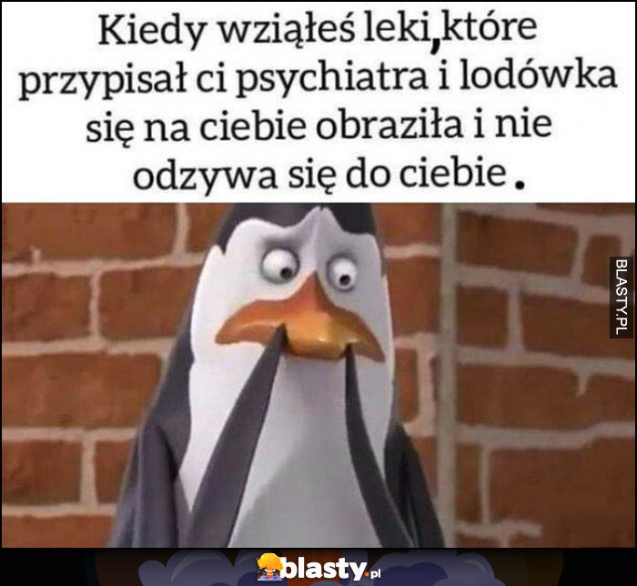 Kiedy wziąłeś leki, które przypisał Ci psychiatra i lodówka się na Ciebie obraziła i nie odzywa się do Ciebie