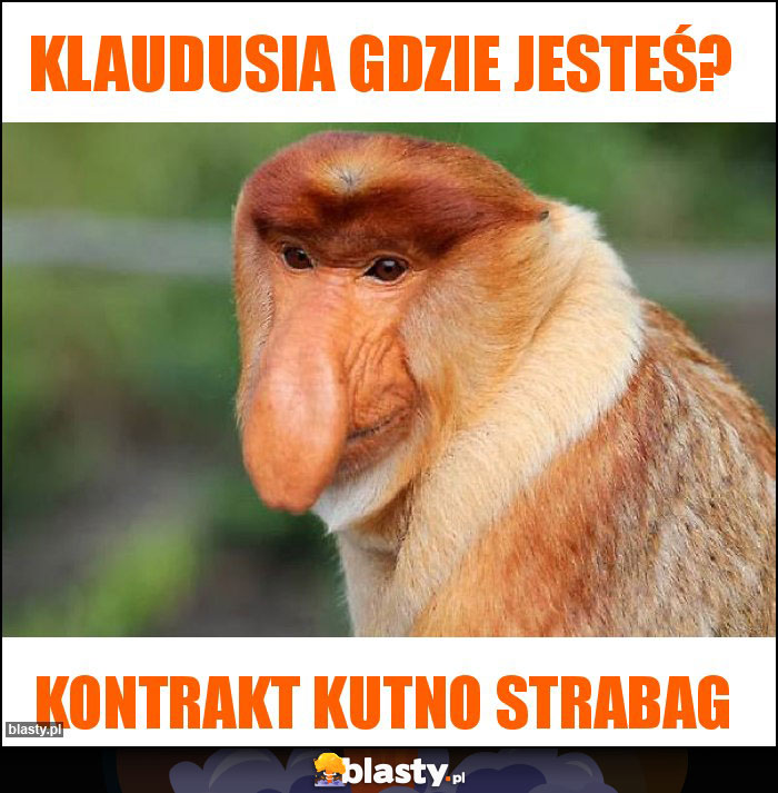 Klaudusia gdzie jesteś?