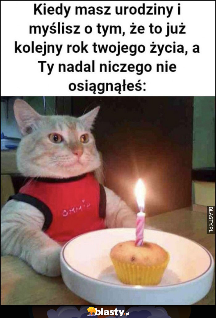 Kot kiedy masz urodziny i myślisz o tym, że to już kolejny rok twojego życia, a ty nadal niczego nie osiągnąłeś