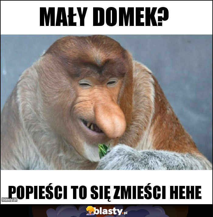 Mały domek?