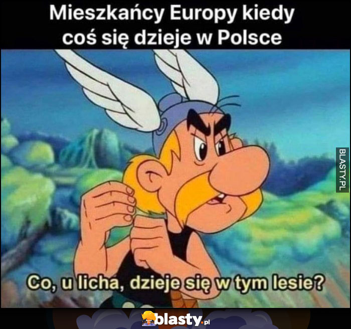 Mieszkańcy Europy kiedy coś się dzieje w Polsce, co u licha dzieje się w tym lesie Asteriks