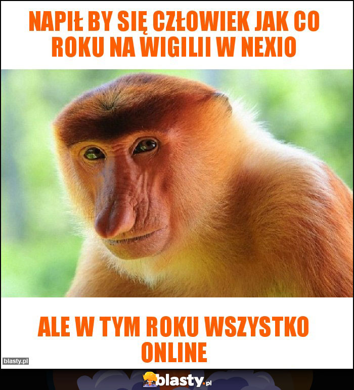 NAPIŁ BY SIĘ CZŁOWIEK JAK CO ROKU NA WIGILII W NEXIO