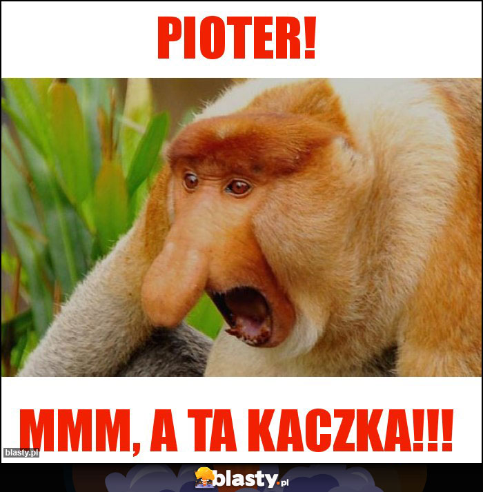 Pioter!