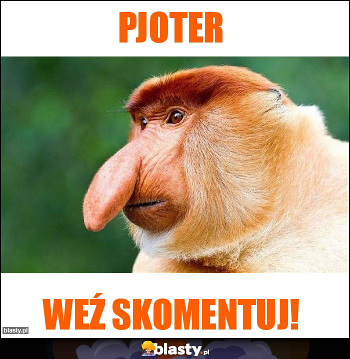 Pjoter