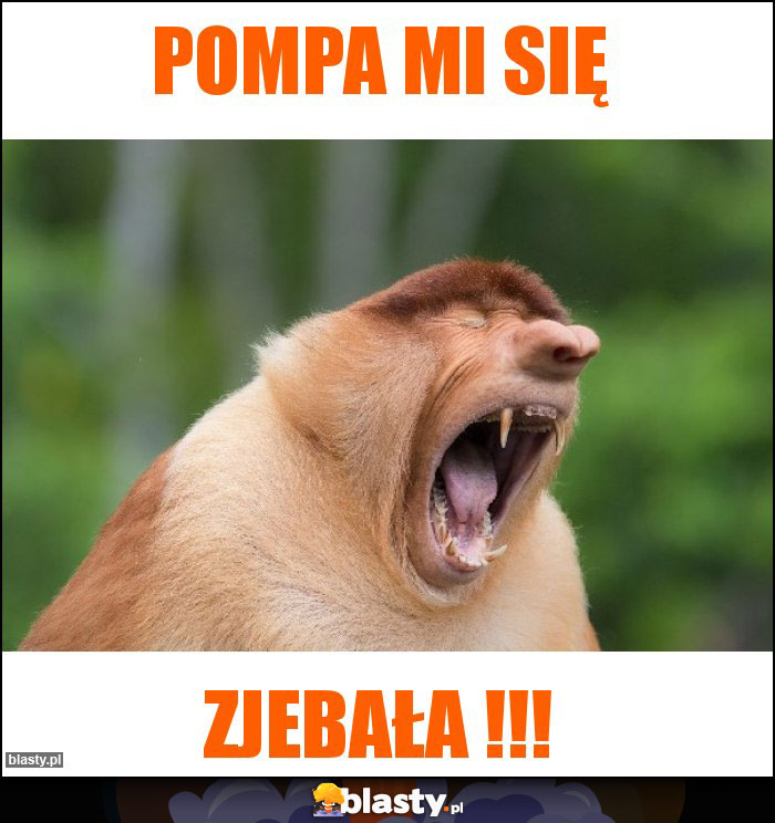 Pompa mi się