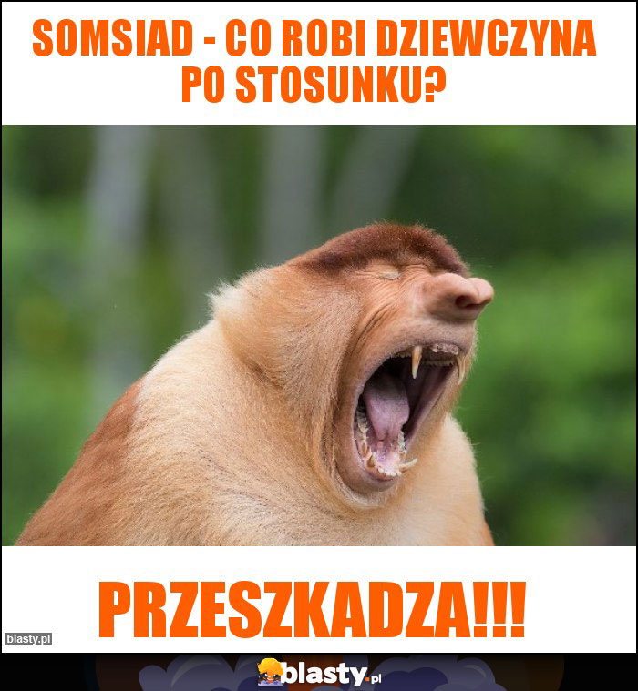 Somsiad - co robi dziewczyna po stosunku?