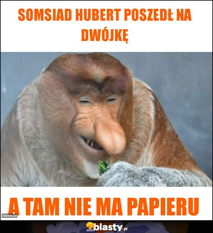 Somsiad Hubert poszedł na dwójkę
