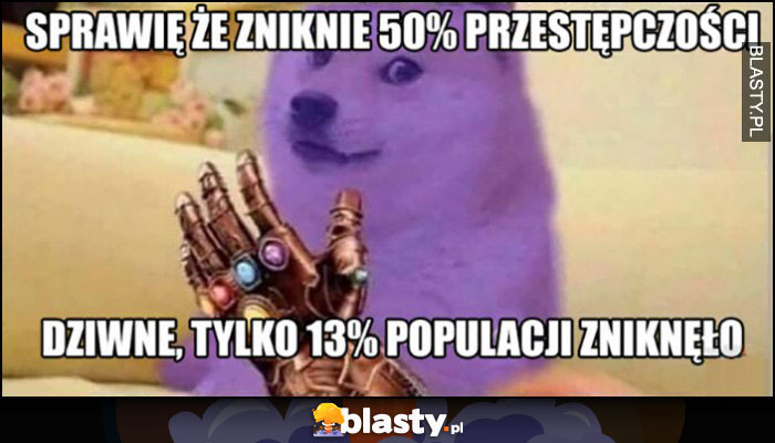 Sprawię że zniknie 50% przestępczości, dziwne tylko 13% populacji zniknęło pieseł doge