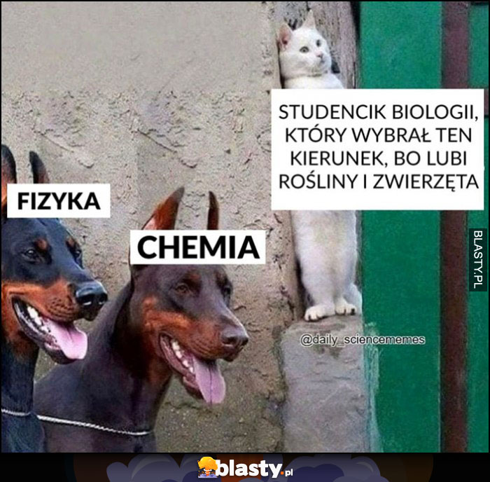 Studencik biologii, który wybrał ten kierunek bo lubi rośliny i zwierzęta kot chowa się przed psami fizyka chemia