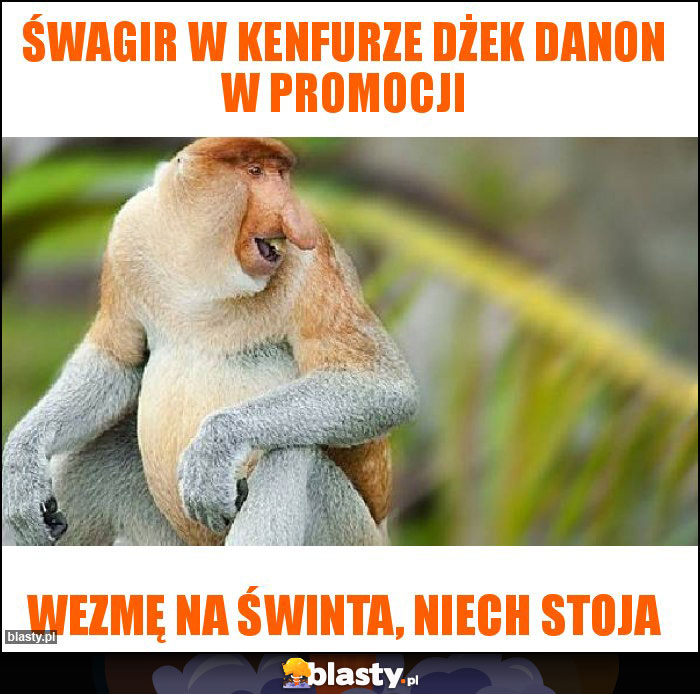 ŚWAGIR W KENFURZE DŻEK DANON W PROMOCJI