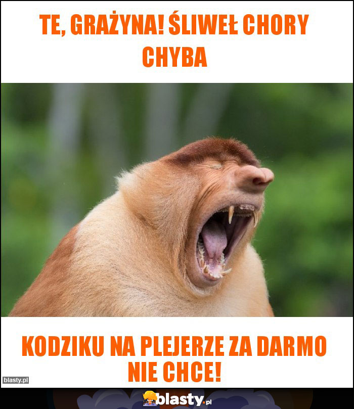 TE, Grażyna! Śliweł chory chyba