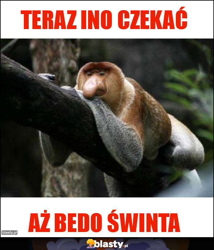 Teraz ino czekać
