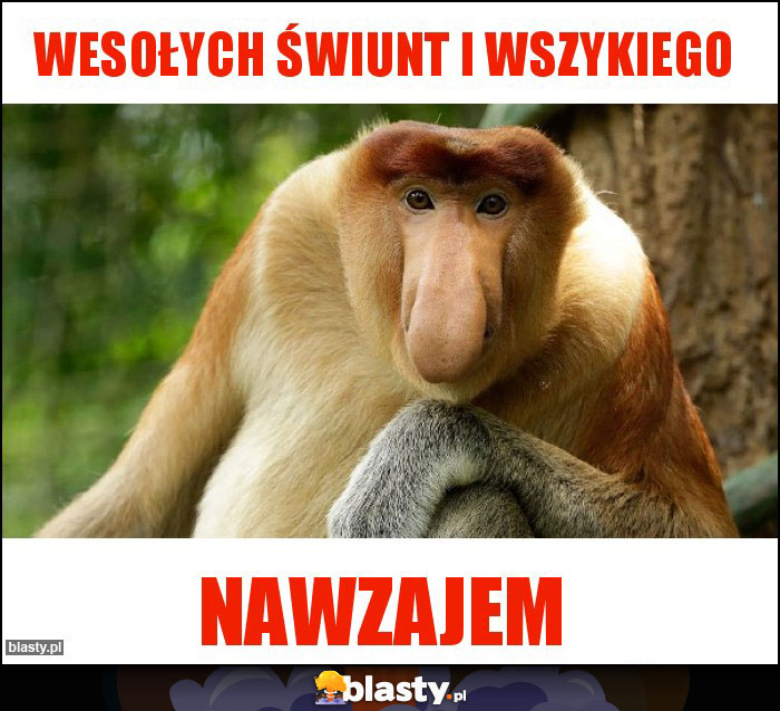Wesołych świunt i wszykiego