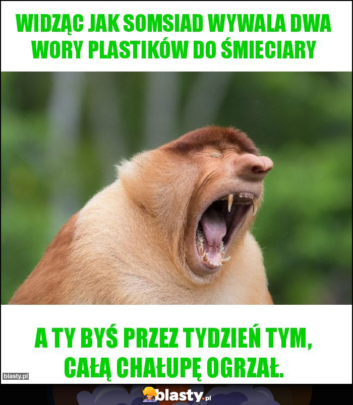 widząc jak somsiad wywala dwa wory plastików do śmieciary