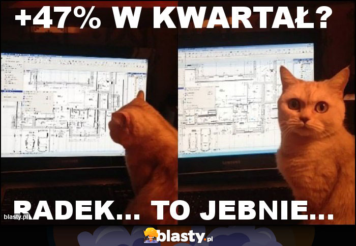 +47% w kwartał?