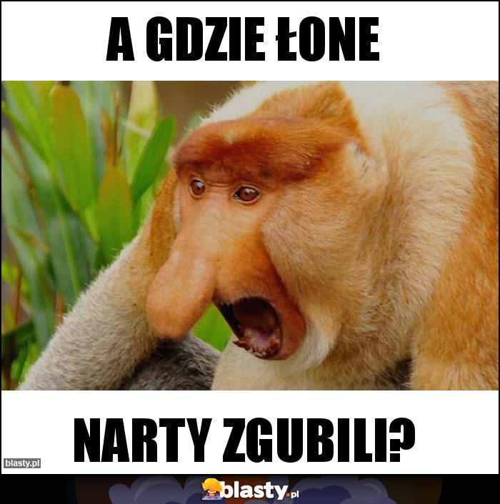 A gdzie łone