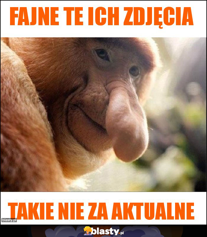 Fajne te ich zdjęcia
