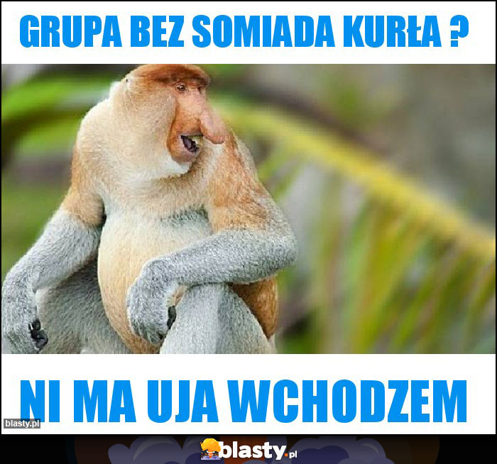 Grupa bez Somiada kurła ?