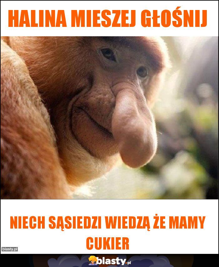 Halina mieszej głośnij