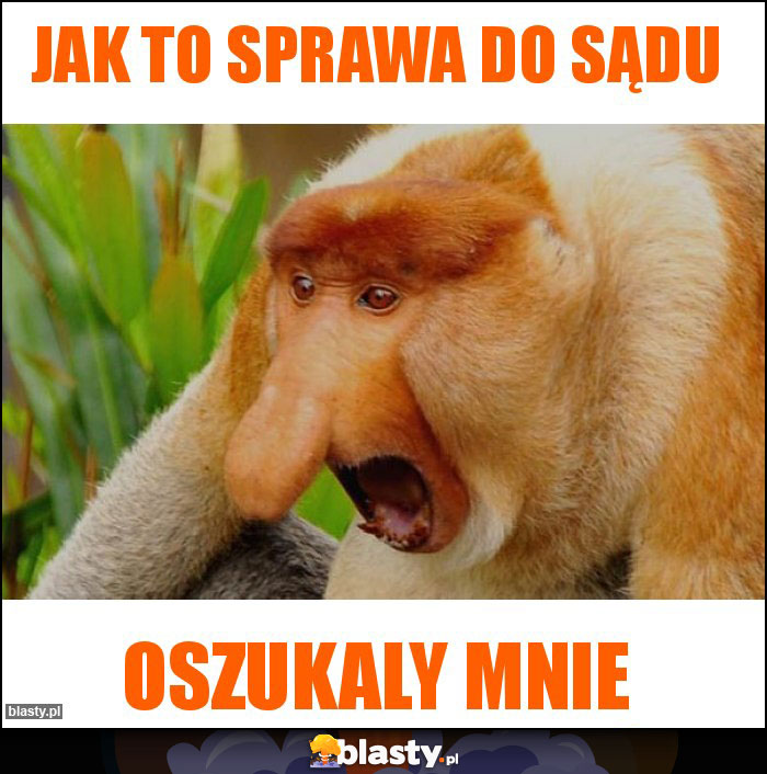Jak to sprawa do sądu