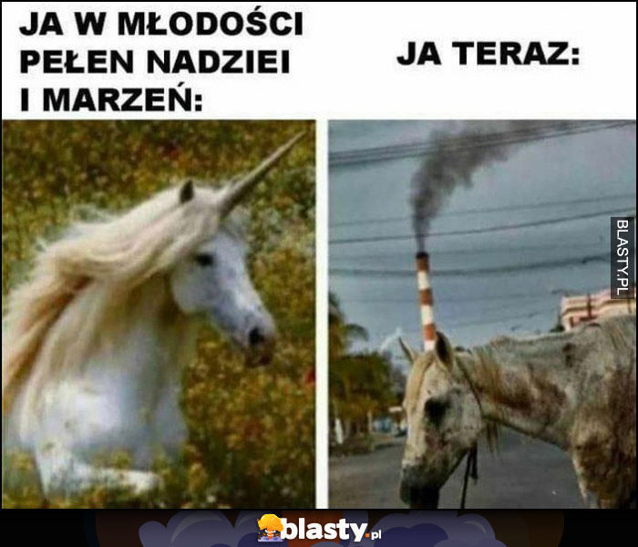 Jednorożec ja w młodości pełen nadziei i marzeń vs ja teraz komin