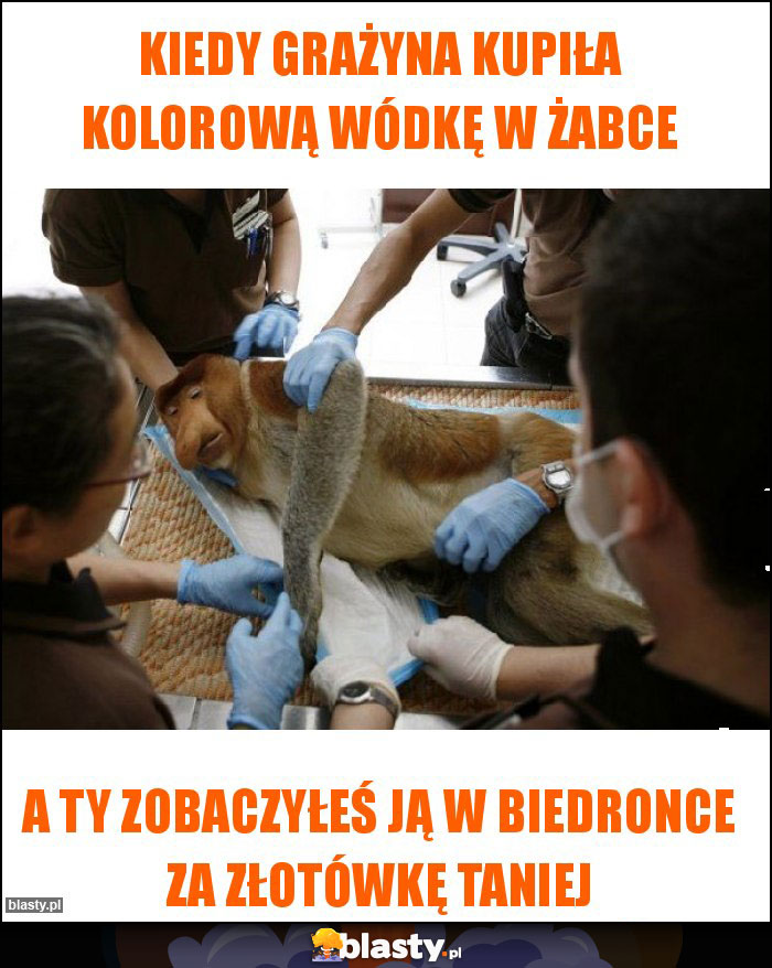 Kiedy Grażyna kupiła kolorową wódkę w żabce